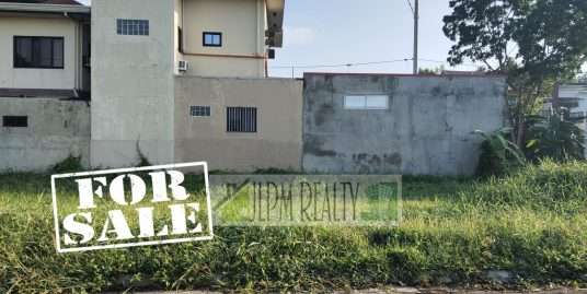 RESALE LOT – LA RESIDENCIA SUBD. CALUMPIT, BULACAN 192 SQM