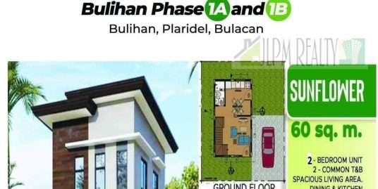 FOR CONSTRUCTION HOUSE AND LOT 2 BEDROOMS SINGLE DETACHED NEAR NLEX